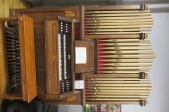 1Organ